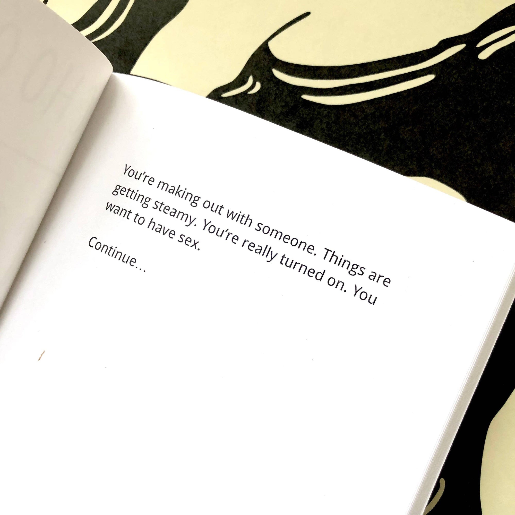 Consensual Adventure Zine
